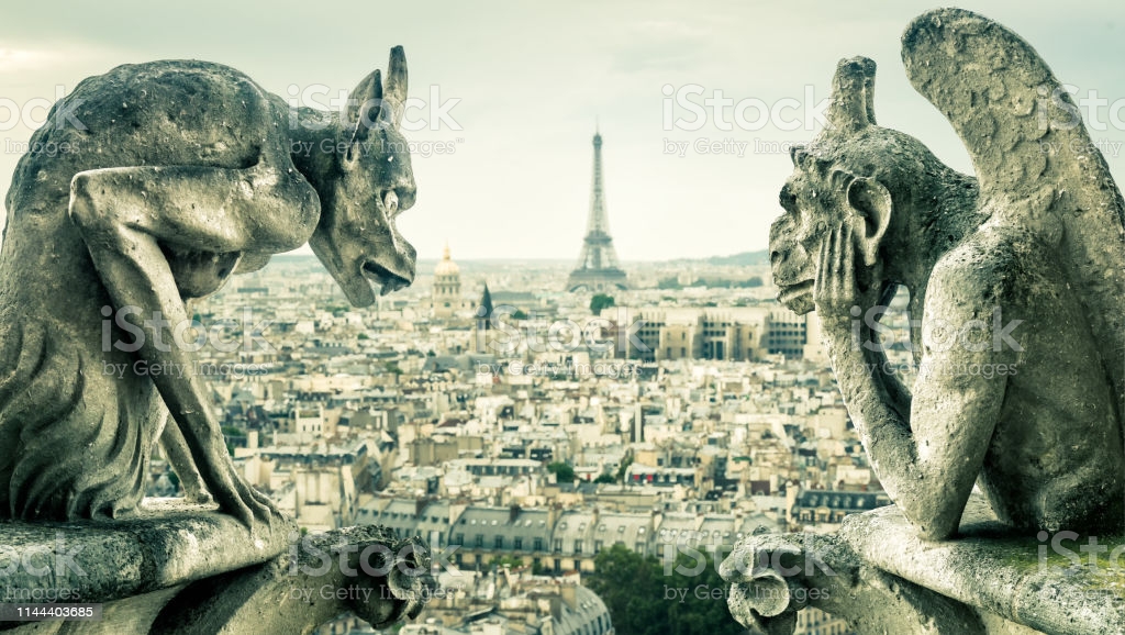 Chimères macroniennes  FRANCE